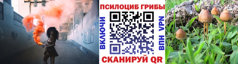 Галлюциногенные грибы Magic Shrooms  Купить закладки  Геленджик 